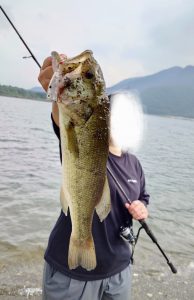 久しぶりのブラックバス！！