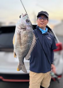 清水港　キビレ釣果情報♪