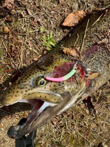 《金進堂長者原店》フィッシングレイク高宮に遠征釣行！