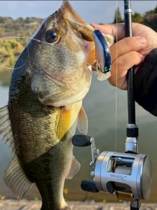 《金進堂長者原店》暖かさに誘われ年内最後のバス釣り納めへ🎣