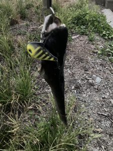 冒険はほどほどに。