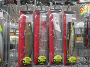 ｶｹﾞﾛｳ入荷♪