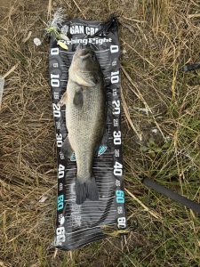 【東天満店】スタッフ初釣り釣果！&いよいよ明日フィッシングショー(^^♪