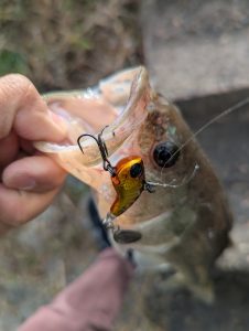 【岡山本店】最近バスやってます♪