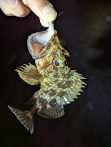 【岡山本店】久々の釣り（*´ω｀*）