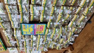 【岡山本店】セール開催中！