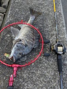 【岡山本店】セール&釣果情報♪