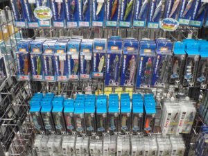 ★泉南青物釣果情報★