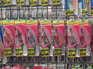 ★泉南アオリイカ情報★