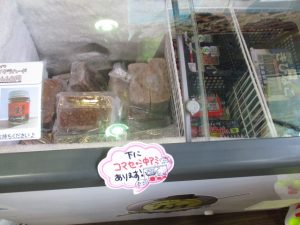 [店舗情報】冷凍エサありますよ！！