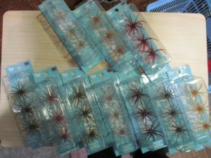 [入荷情報]新品コイケ+中古ルアー大量入荷！