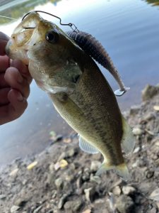 真夏のバス釣り！