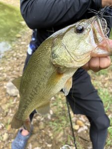 初場所ダムで数釣り！