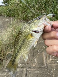 またまたバス釣りへ