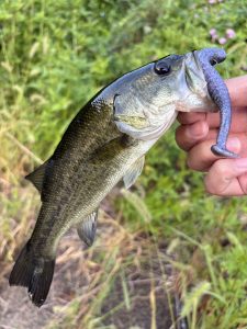 バス釣り？のはず。