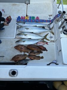 スタッフ釣果メーターヒラマサ！