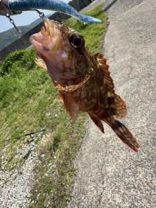 釣りに想定外はつきもの！