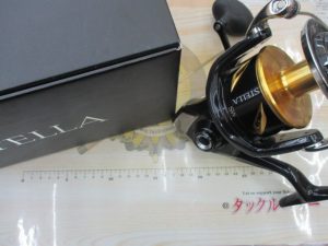 20ｽﾃﾗSW 20000PG入荷しました