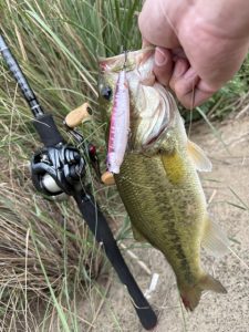 バス釣り秋パターン開幕！