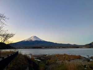 ワカサギ釣果！そしてセールも始まります！