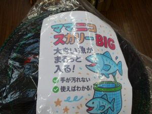 エリアコーナー強化中です😆