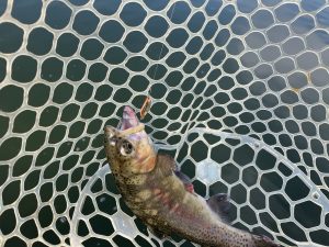 初釣り行ってきました！