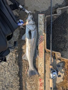 ★お客様からの釣果写真★