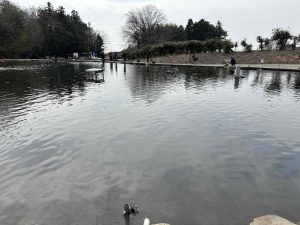 宮城アングラーズヴィレッジに行ってきました!