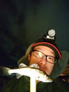 横浜ライトゲーム セイゴ祭り!