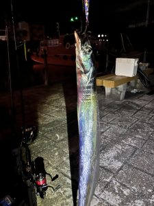 前回爆釣の浦賀エリアで台風直後に！アジとタチウオ狙いは果たして…？