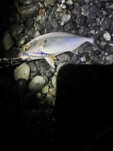 好調の西湘サーフ！狙うはもちろんショゴ！