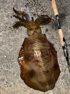 極寒でもエギング釣果情報