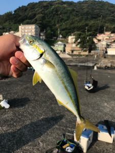 【釣果情報】梅雨明け一発目！