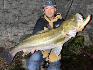 本日は毎月恒例の・・・