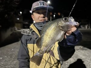 本日より買取りUPキャンペーン！！