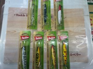 ダイイングフラッター入荷！！