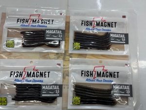 バスワーム入荷！！