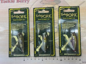 ベビーポップX入荷！！