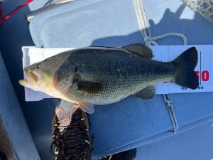 本日よりGWセール開催！！