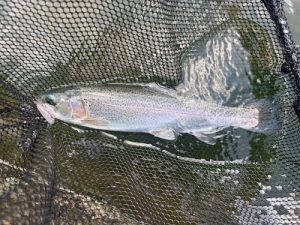 本日よりセール第二弾開催！！