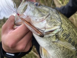 表層ダメなときは、一段下！！