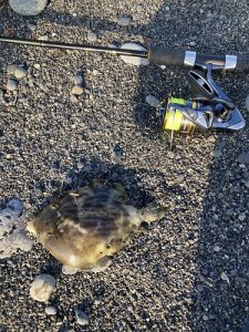 まさかの高級魚ヒット！