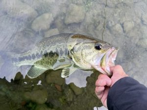 サマーセールは本日まで！！