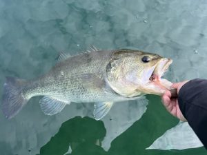 久々の芦ノ湖🎣