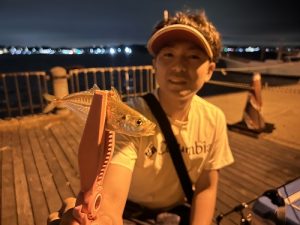 湘南アジング調査🎣
