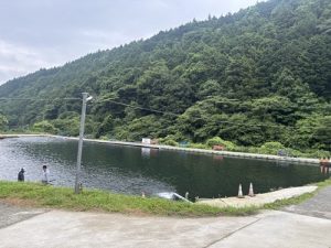 🎣まだまだ釣れてます🎣