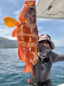 🐟ボートロックデビュー🎣