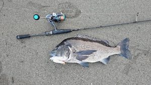真夏の🌻ライトゲーム🎣