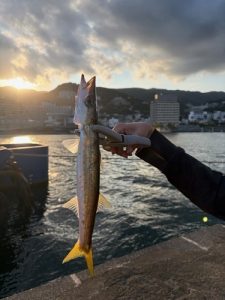 🐟ドライブがてら・・・🎣