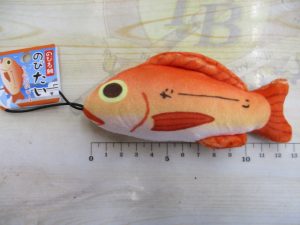 かわいいお魚さん入荷しました
